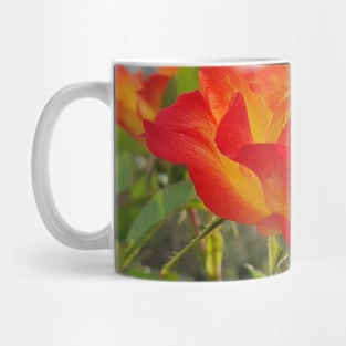 Red and yellow rose Mug